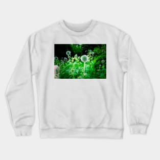 Small Globe Thistles 11 Crewneck Sweatshirt